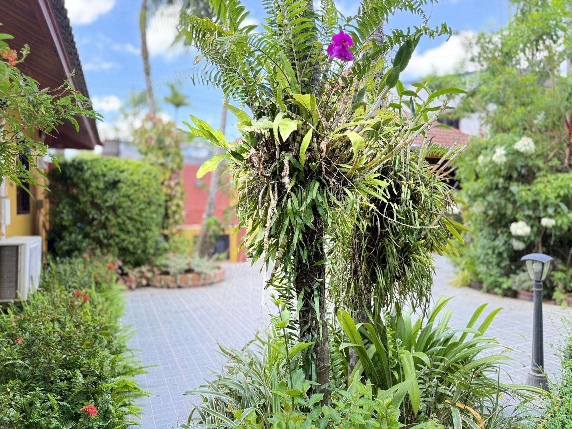 Family Bungalow Kamala ภายนอก รูปภาพ